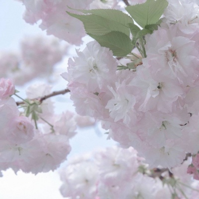 旬阳FurryQQ群介绍